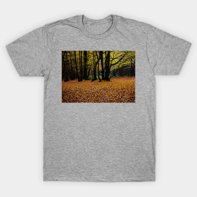 ‘Dark Wood’ - Autumn arrives, leaves fall T-Shirt by sleepingdogprod